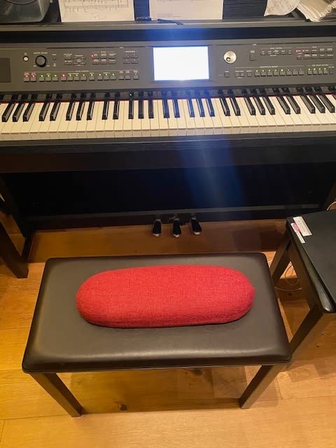 Gokhale Wedge Seat Cushion for Lower Back Pain Relief & Posture Support | Transform office chairs, dining chairs, piano stools, etc. | Sit upright without effort | Relieve back pain & sciatic pain customer photo 2