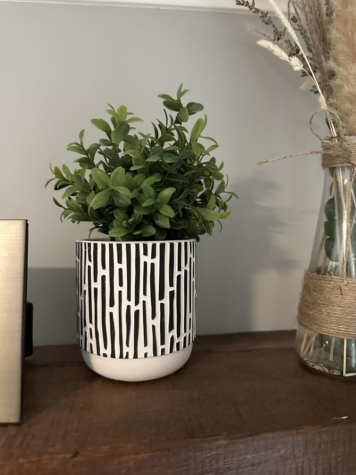 Winlyn 3-Pack Artificial Potted Plants - Faux Eucalyptus, Rosemary, Boxwood Greenery in Small Black & White Geometric Concrete Pots - Desk, Table, Shelf, Windowsill Decor for Indoor Outdoor Home Office customer photo 2