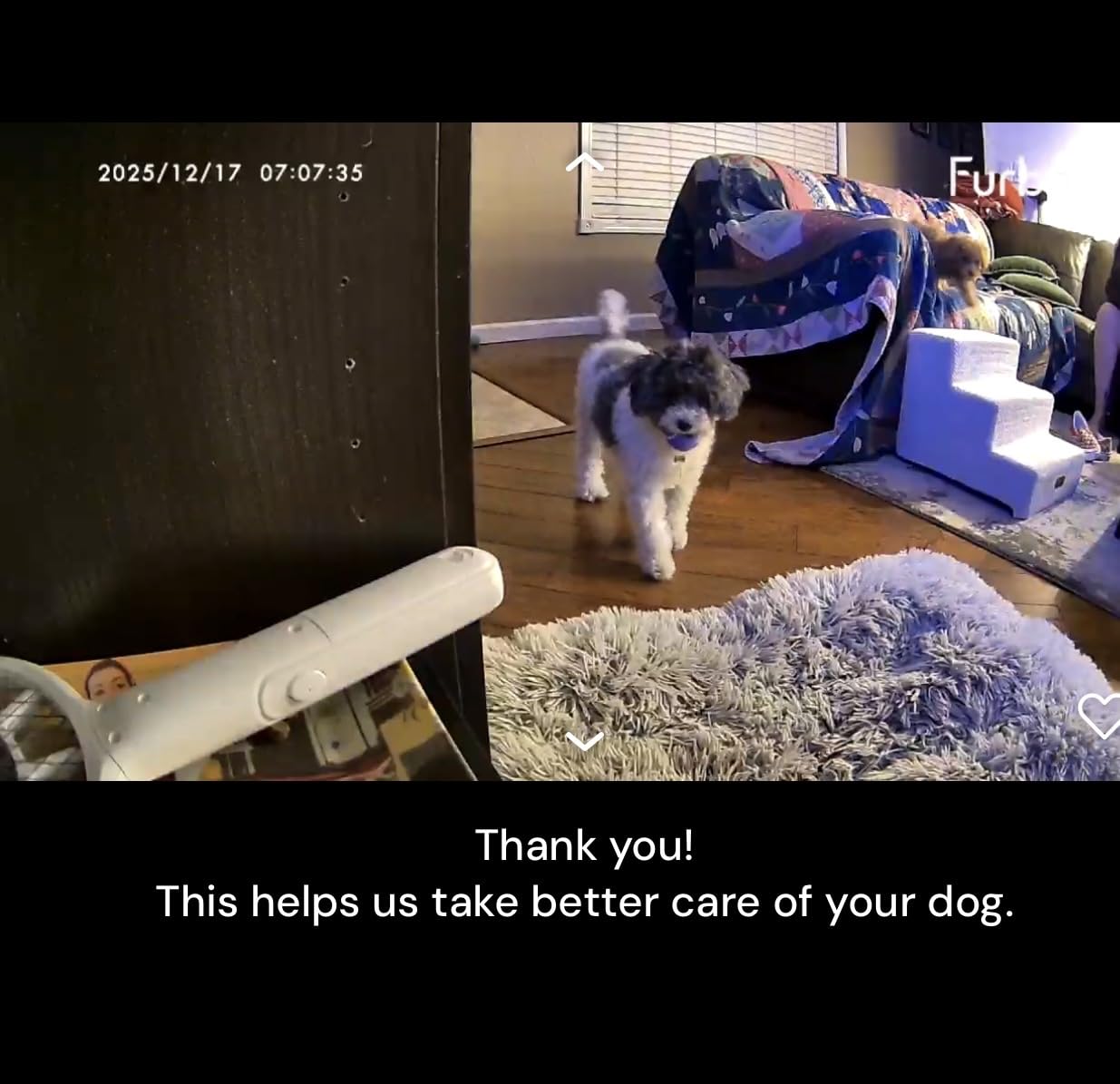 Furbo 360° Dog Camera [Subscription Required] Unlock w/Paid Plan: Home Security & Dog Safety Alerts, Rotating Pet Treat Toss, 2-Way Speaker customer photo 2
