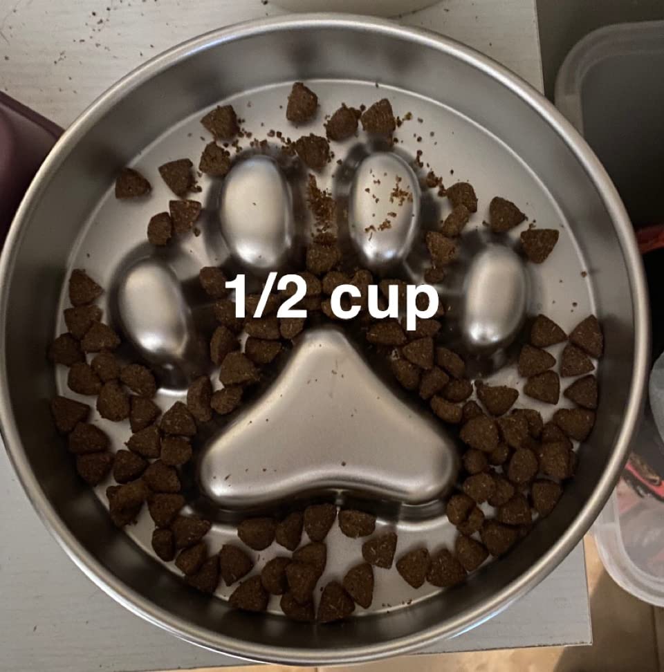 AIPERRO Slow Feeder Dog Bowl Stainless Steel, Metal Non-Slip Dog Food Bowls | 2 Cups for Small & Medium Dogs | Dogs Water Bowl | Fun Bloat Stop Pet Bowl for Fast Eaters | Slows Down Pets Eating customer photo 1