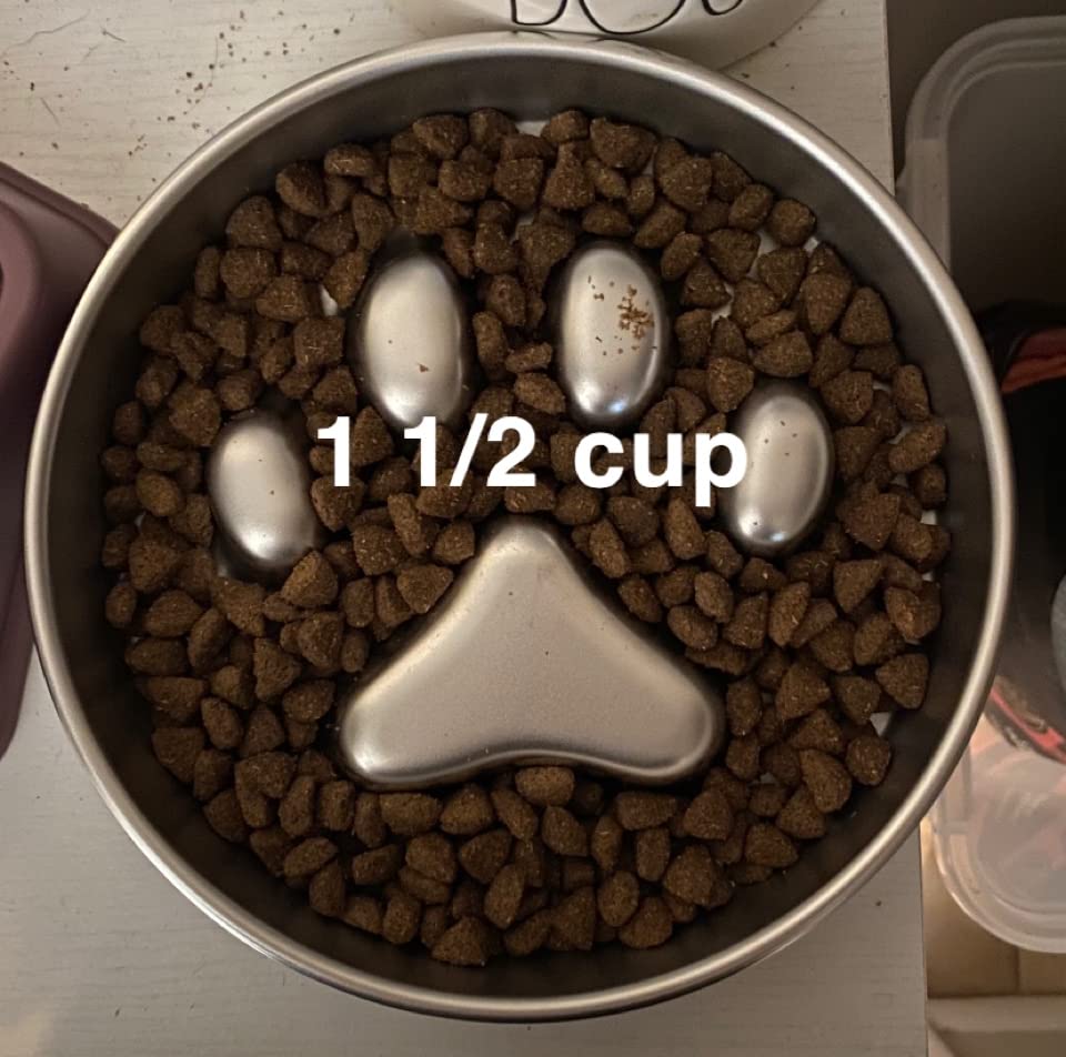 AIPERRO Slow Feeder Dog Bowl Stainless Steel, Metal Non-Slip Dog Food Bowls | 2 Cups for Small & Medium Dogs | Dogs Water Bowl | Fun Bloat Stop Pet Bowl for Fast Eaters | Slows Down Pets Eating customer photo 2