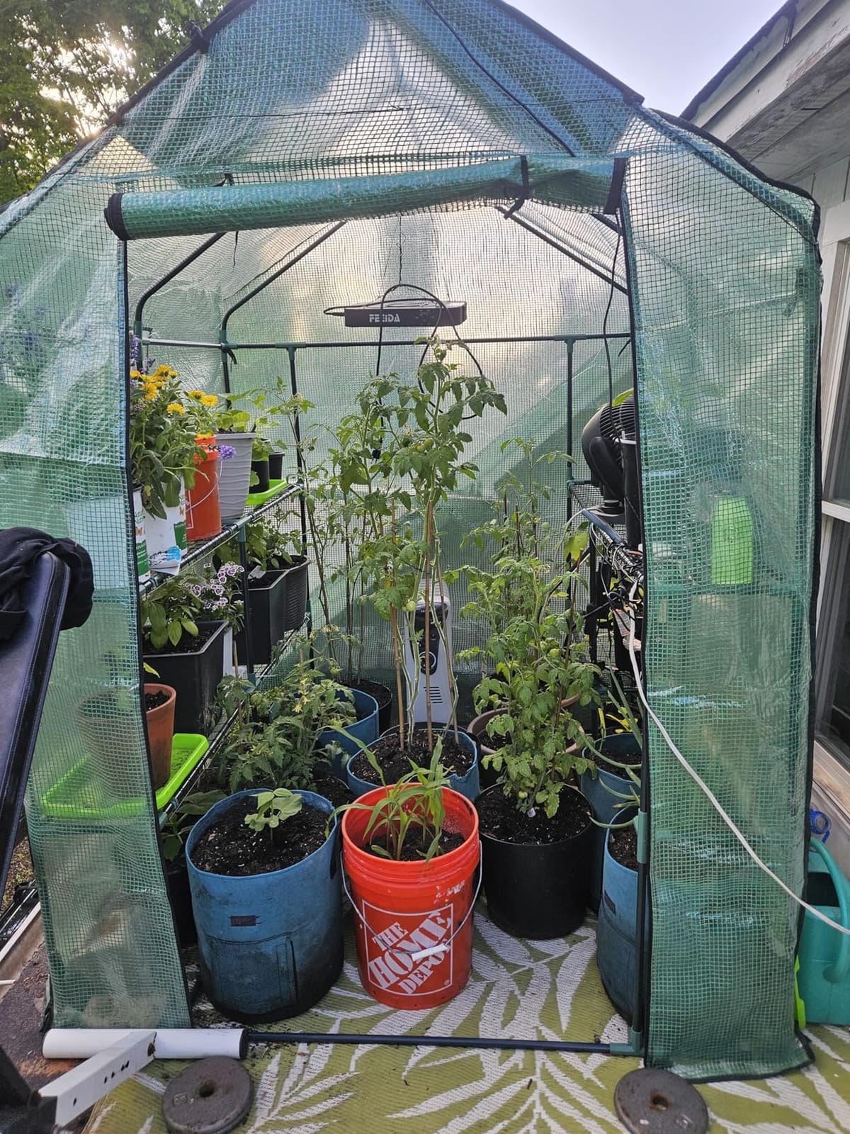 Greengro Greenhouse, 57 x 57 x 76