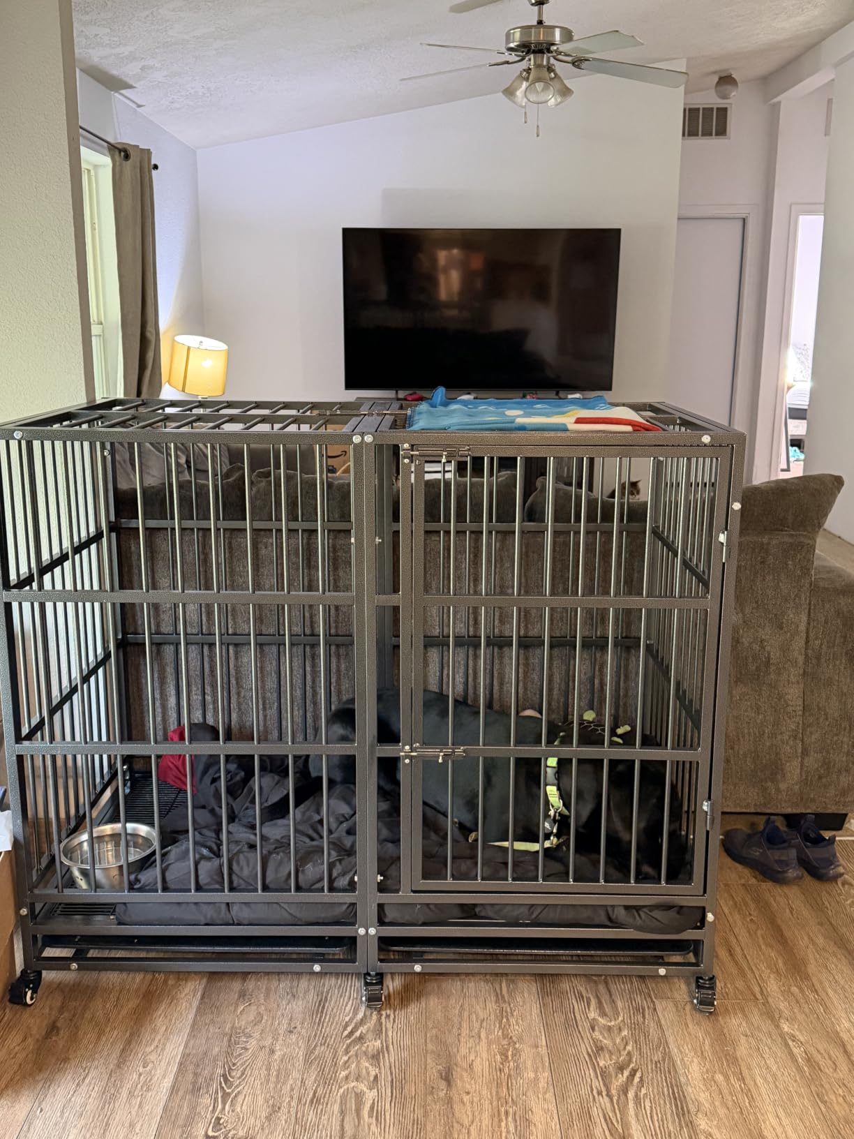 BOLDBONE 48 inch Heavy Duty Indestructible and Escape-Proof Dog Crate Cage Kennel for Large Dogs, High Anxiety Dog Crate with Removable Wire Trays and Wheels, Extra Large XL XXL, Black customer photo 2