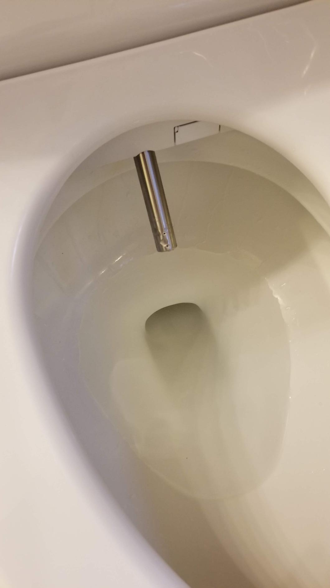Kohler PureWash E580 Elongated Bidet Toilet Seat, White, Quiet-Close Lid Prevents Slamming, Self-Cleaning Wand, Adjustable Water Pressure with Multiple Cleansing Options | 32330-0 customer photo 1