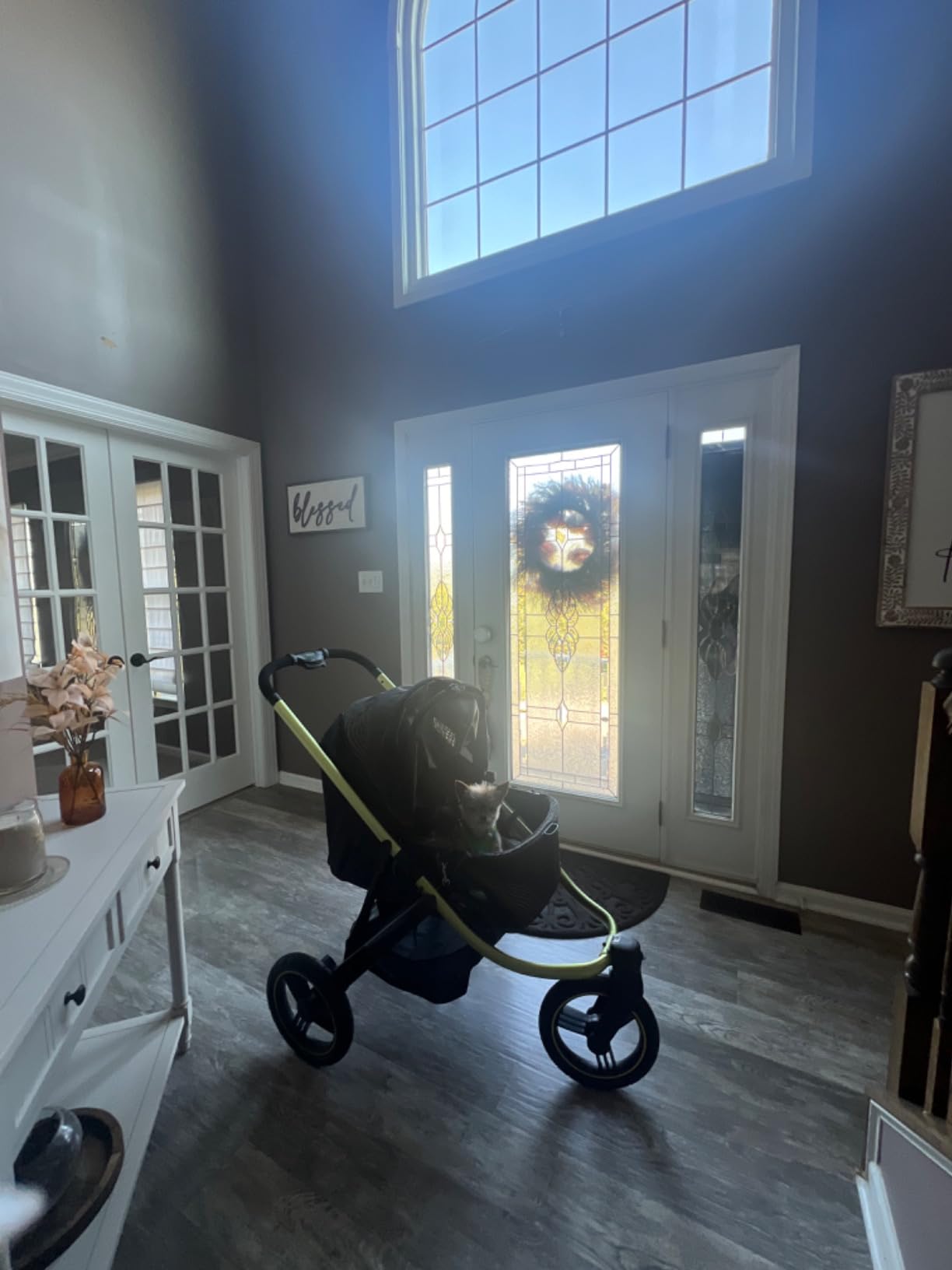 ibiyaya The Beast Pet Jogging Stroller for All Terrains, 3-Wheel Dog Carrier with Double Breaks, Zipperless Large Stroller for Running & Hiking, Multiple Small Dogs, Medium Dogs, or Cats (Jet Black) customer photo 1