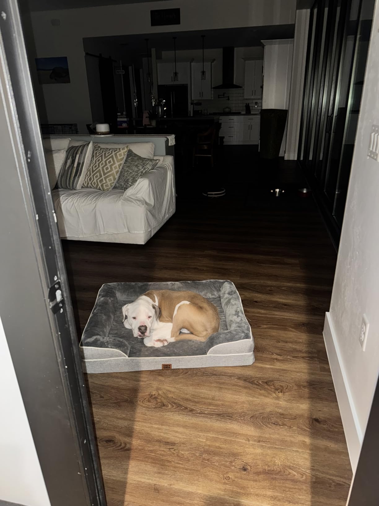 EHEYCIGA Orthopedic Dog Beds for Extra Large Dogs, Waterproof Memory Foam XL Dog Bed with Sides, Non-Slip Bottom and Egg-Crate Foam Big Pet Couch Bed with Washable Removable Cover, Camel customer photo 2