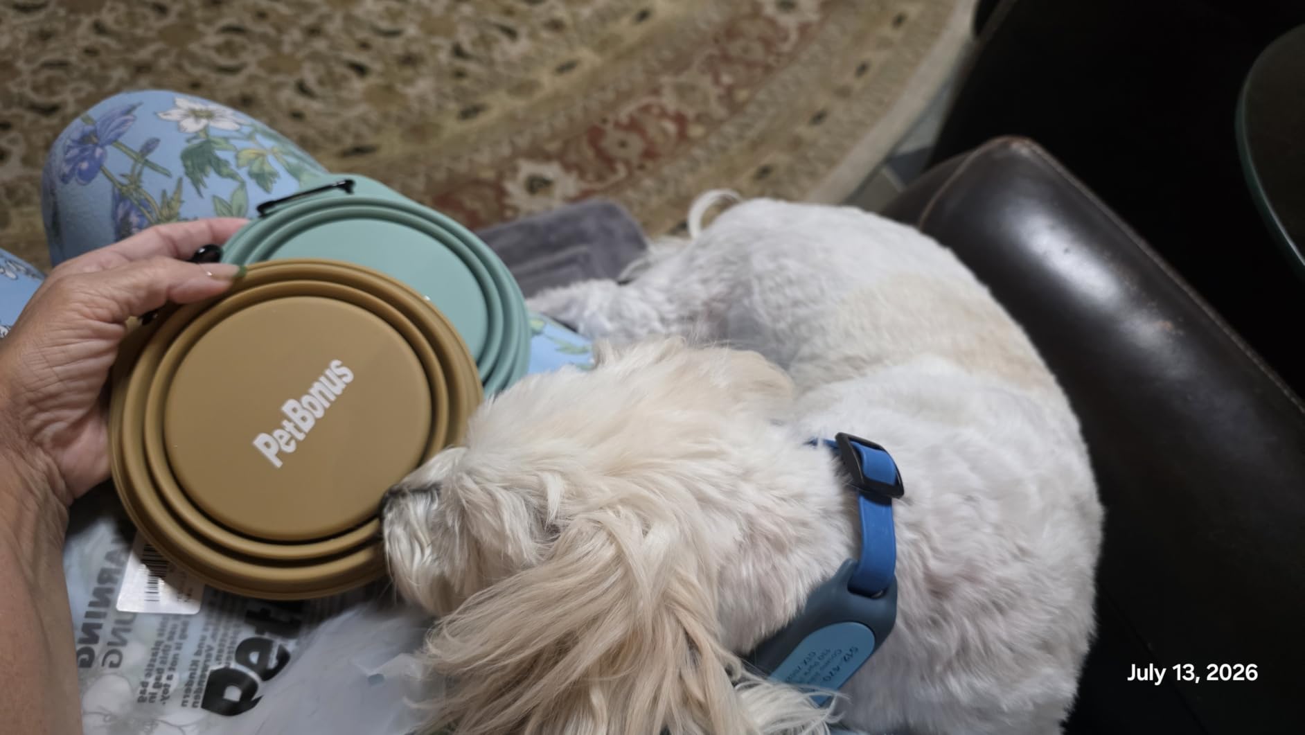 PetBonus 2-Pack Silicone Collapsible Dog Bowls, BPA Free Dishwasher Safe, Portable Foldable Expandable Travel Bowl, Food Water Feeding Cup Dish for Dogs Cats with 2 Carabiners (Turquoise, Tan) customer photo 2