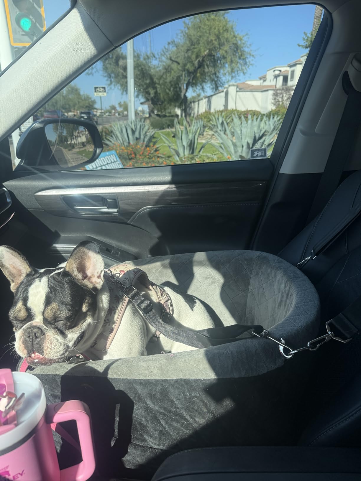 NEEZUKAR Dog Car Seat for Small Dogs, Detachable Washable Dog Booster Seat Under 30lbs, Pet Car Seat Travel Bed with Storage Pockets and Dog Safety Belt (Black/Grey) customer photo 2