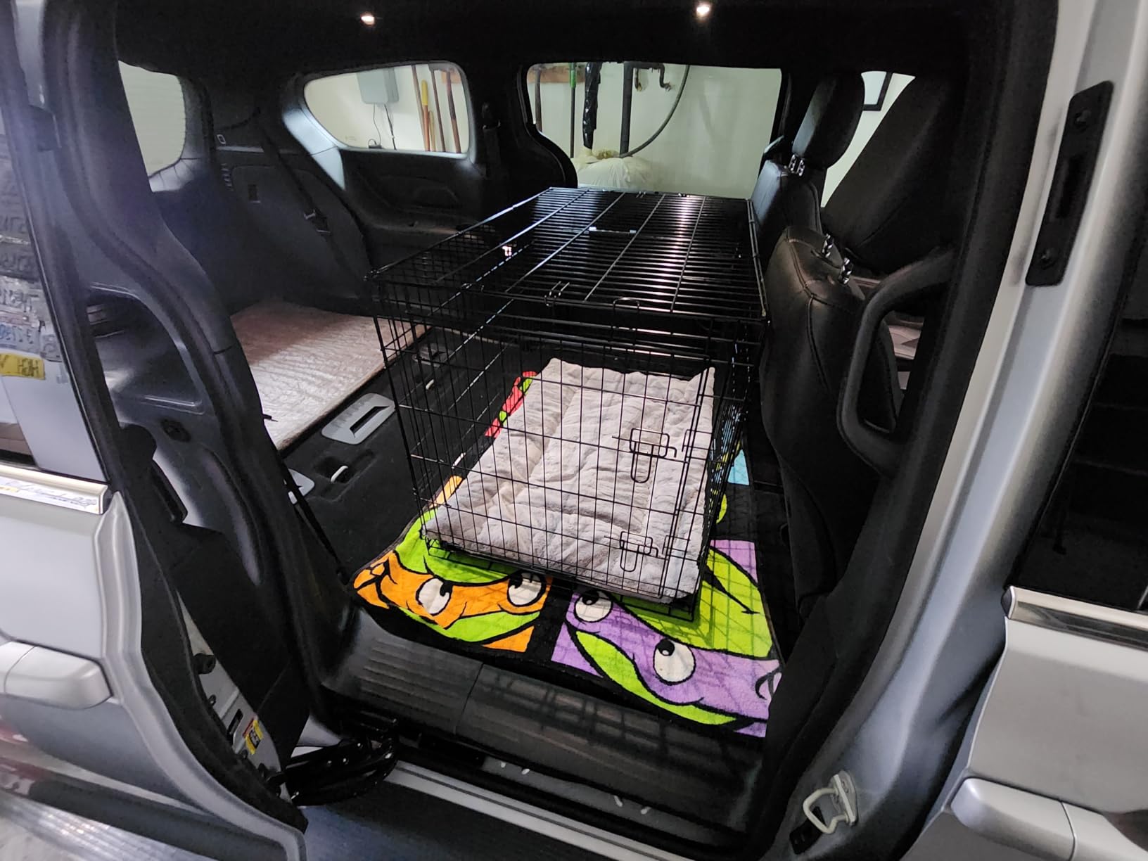 FDW 24-Inch Dog Crate for Small Dogs, Double Door Folding Metal Wire Pet Kennel with Divider Panel & Leak-Proof Plastic Tray, Black customer photo 2