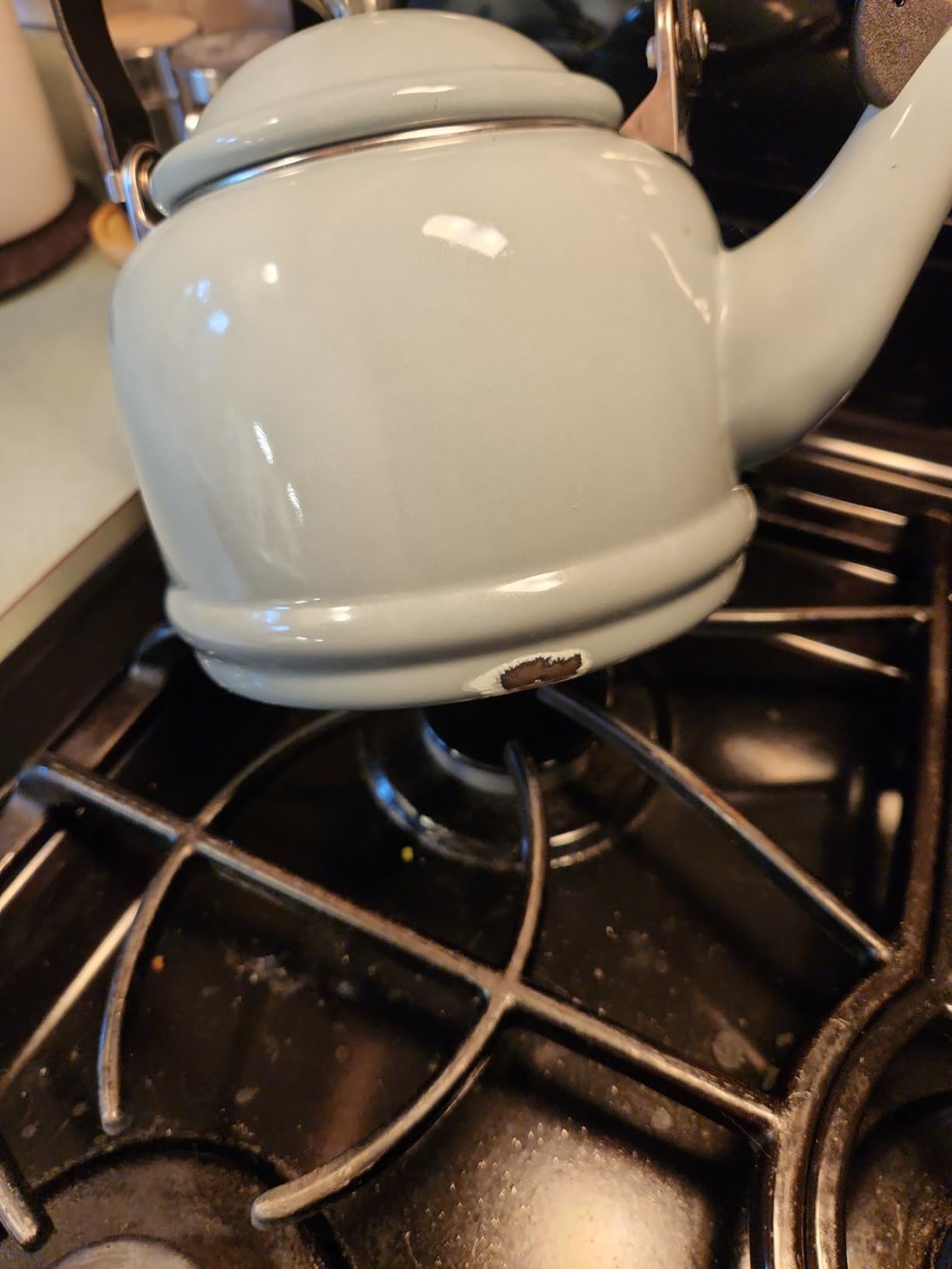 Le Creuset Enamel On Steel Demi Tea Kettle, 1.25 qt., Sea Salt customer photo 1