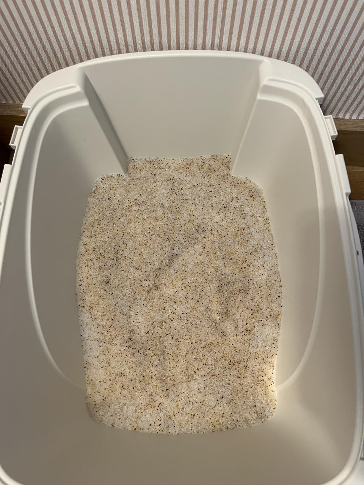 Purina Tidy Cats Care Alert Health Monitoring Litter, 8 lb | Non-clumping color changing crystal litter with long-lasting ammonia odor control customer photo 1