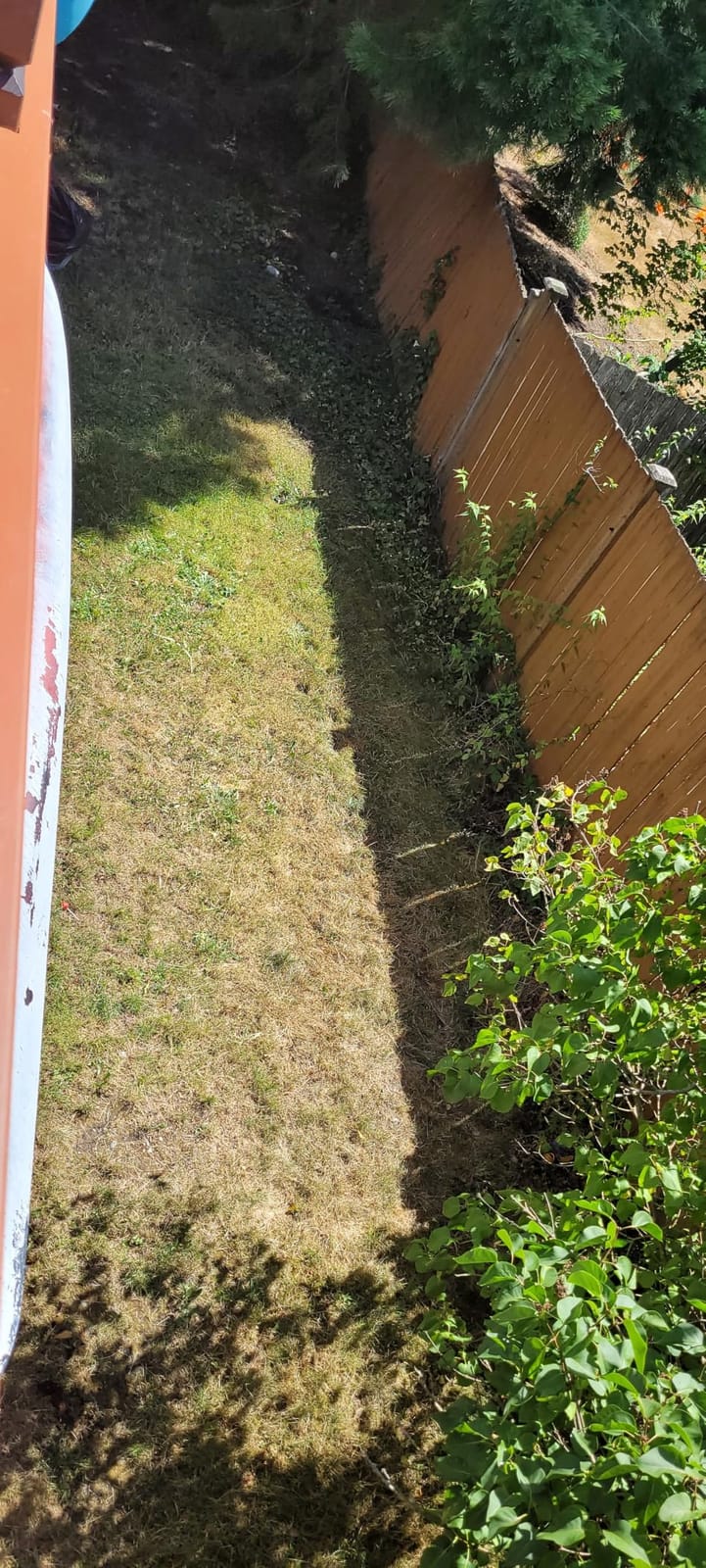 Melnor MiniMax Spike Sprinkler, 4000 Sq Ft: 360°, Flow, Width, Range Adjust customer photo 1