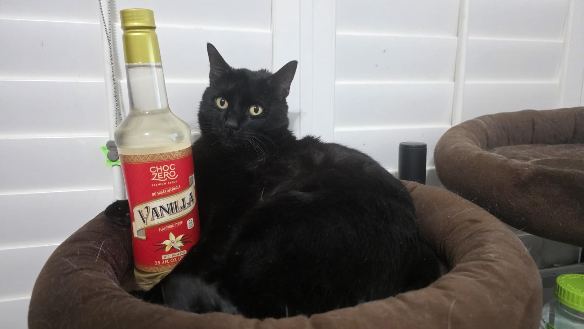 ChocZero Sugar Free Vanilla Coffee Syrup, 25.4 fl oz, Keto, Low Carb, High Fiber, Monk Fruit Sweetened customer photo 2