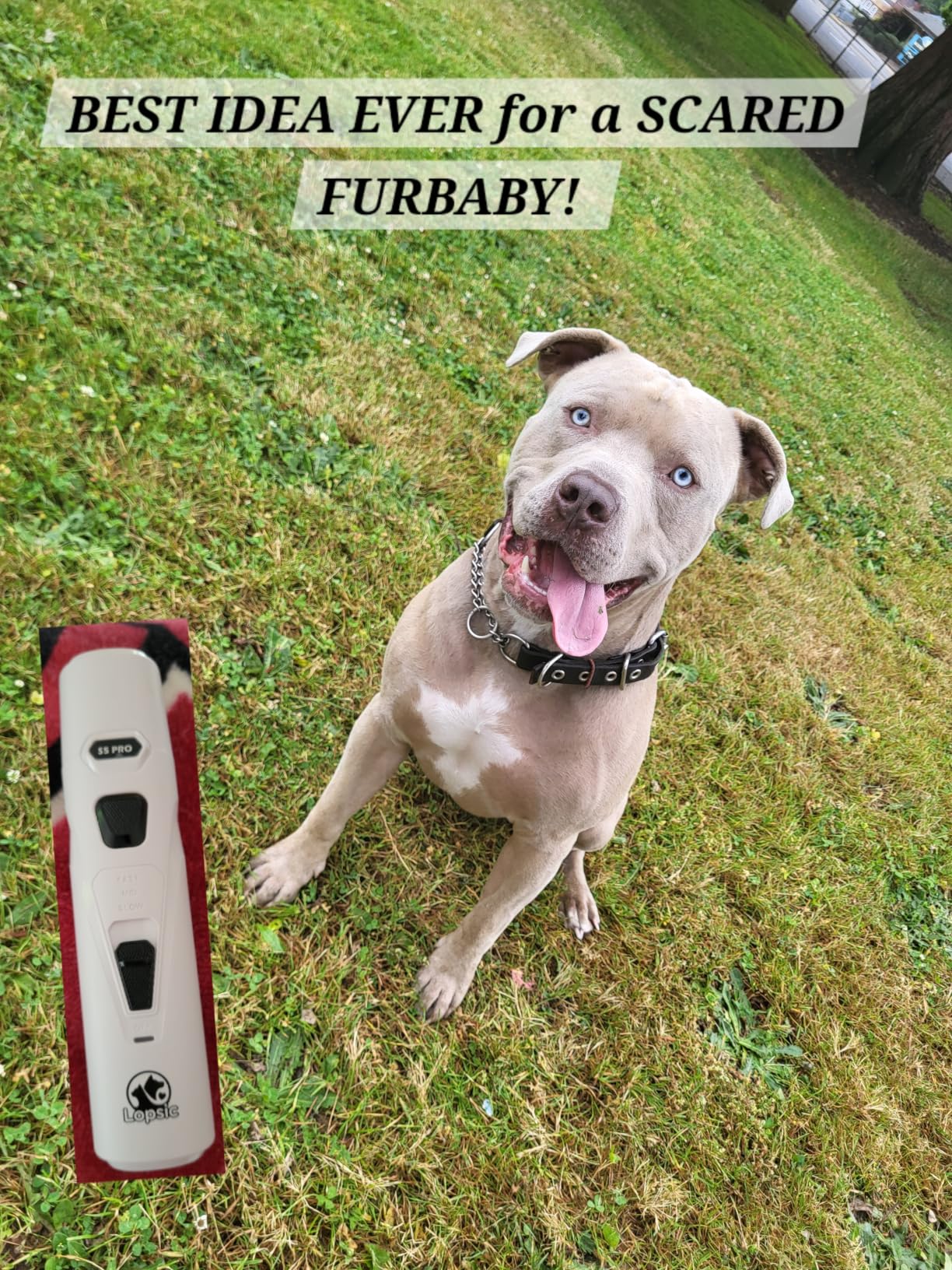 Whisper Quiet Dog Nail Grinder with 4 LED Lights, Safe & Stress-Free for Sensitive Dogs Cats of All Breeds & Sizes, 3 Grinding Bits, 3-Speed, Pet Nail Trimmers, Rechargeable Painless Grooming Kit customer photo 1