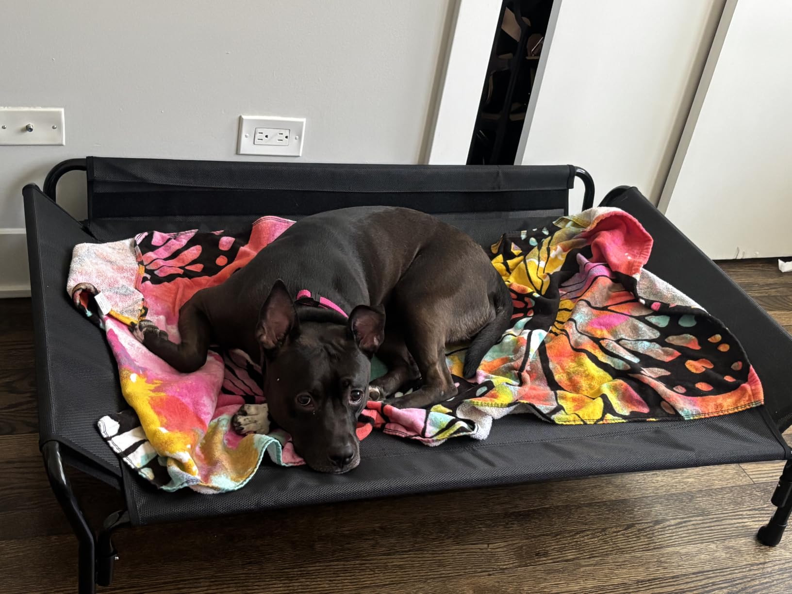 Veehoo Cooling Elevated Dog Bed, Raised Dog Cot with Guardrail & Headrest | Washable Dog Couch Bed for Indoor & Outdoor, Durable Breathable Teslin Mesh, Non-Slip Feet, Large 47
