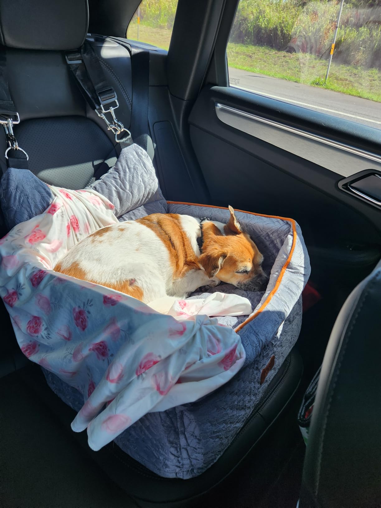 Dog Car Seat for Small Dogs Up to 25 lbs with 6-Inch Memory Foam Cushion, Elevated Booster Seat with Safety Belts, Storage Pockets and Removable Washable Cover for Front or Back Seats, Grey customer photo 1