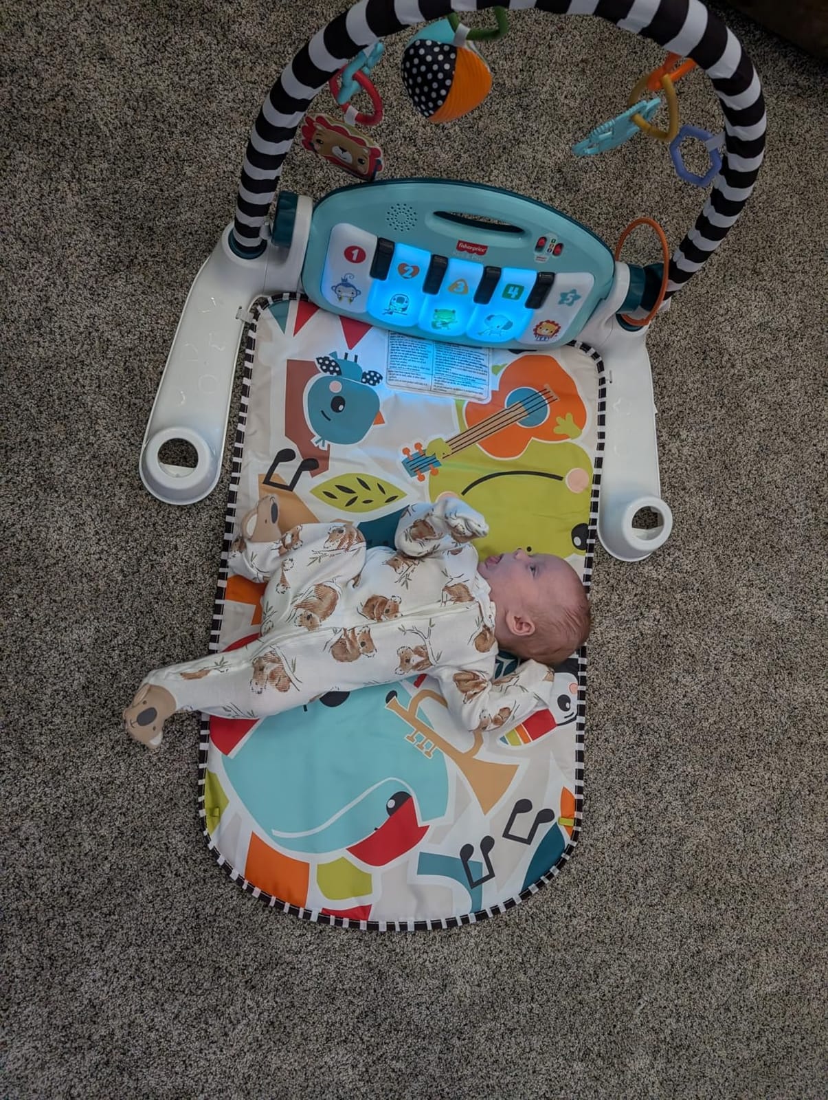 Fisher-Price Baby Playmat Glow and Grow Kick & Play Piano Gym, Blue Musical Learning Toy with Developmental Activities for Newborns 0+ Months customer photo 2