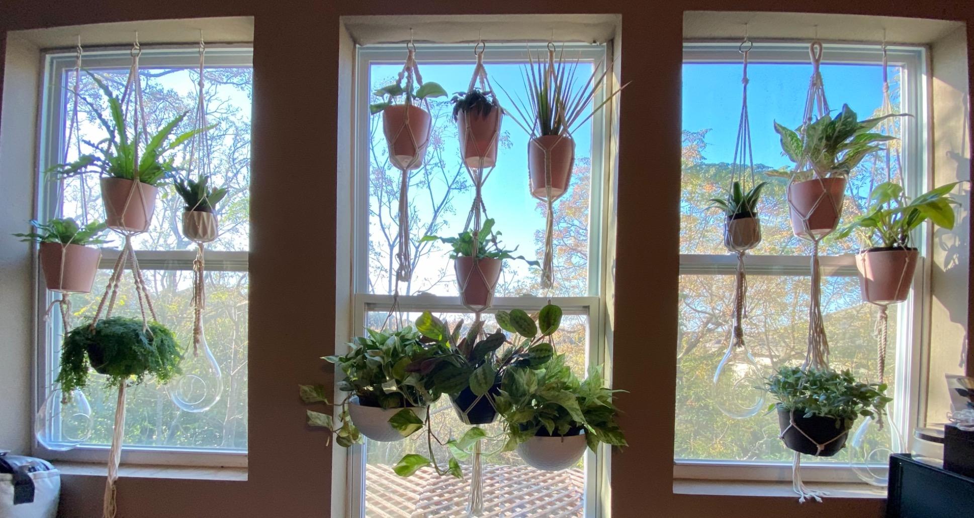 Large Hanging Planters for Outdoor Plants, Set of 2 13.2 Inch | Matte Black Finish, Hanging Baskets and Flower Pots for Outdoor Plants, Decorative Outdoor Planters for Window, Porch, Garden customer photo 1