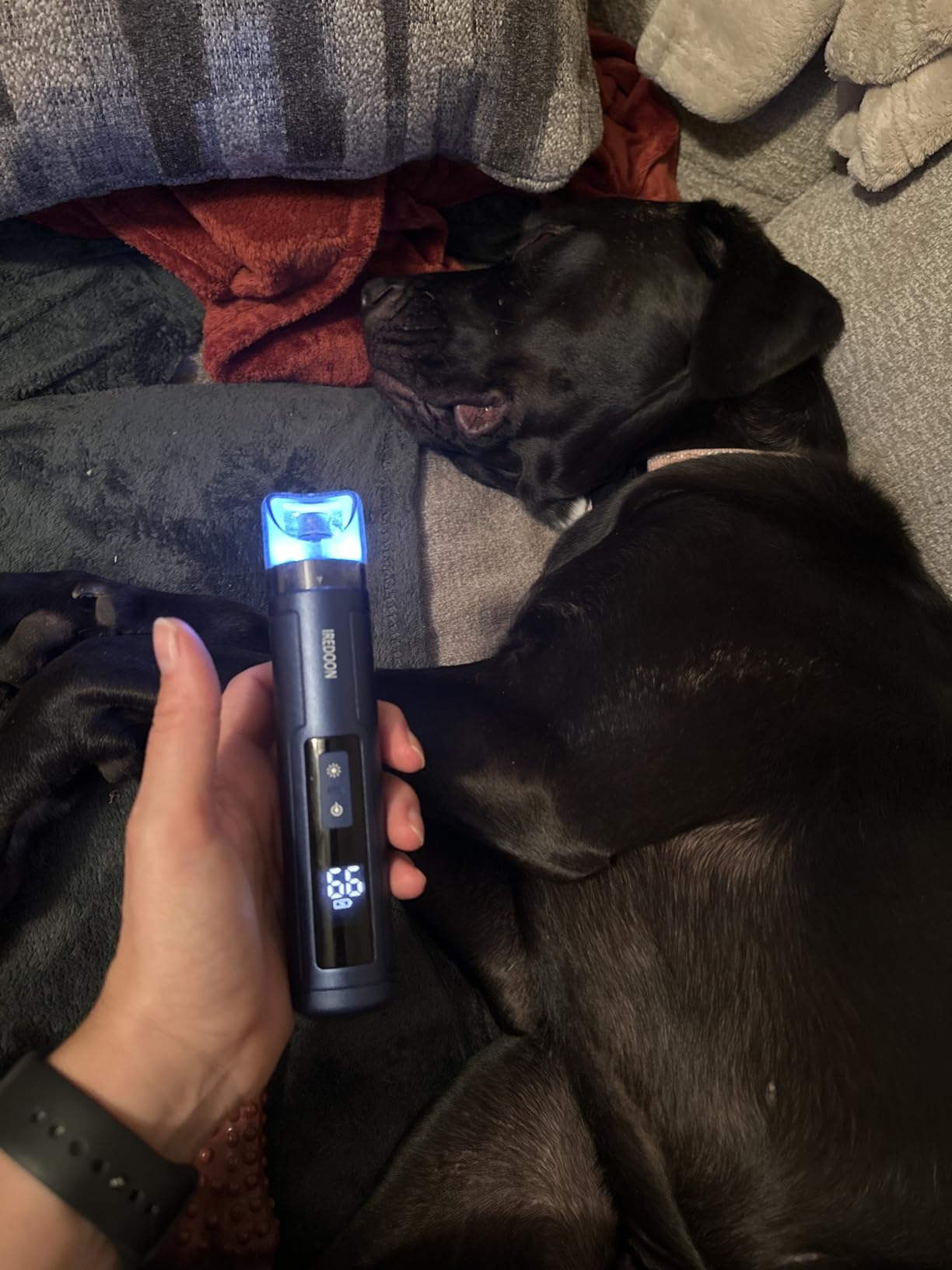 Dog Nail Grinder with 4 LED Lights, 3 Speeds Super Quiet for Pets | Low Vibration, Electric Pet Nail Grinder, Professional Painless Paw Grooming & Smoothing for Small to Large Dogs Cats (Green) customer photo 1