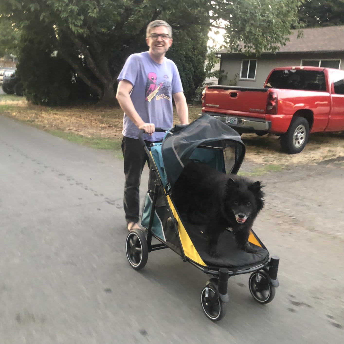 Petbobi Dog Stroller for Large Medium Dogs up to 80 lbs, Dual Entry | One-Hand Fold, One-Foot Brake, All Terrain 360 Swivel Front Wheel, Heavy Duty Air Mesh Wagon, Low Step-In for Senior Pets customer photo 1