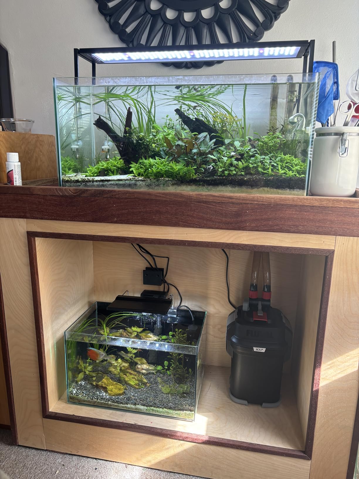 NICREW Slim Aquarium Filter, Quiet Fish Tank HOB Filters for up to 5 Gallon Aquariums, Adjustable Flow, 42 GPH, 3W customer photo 2