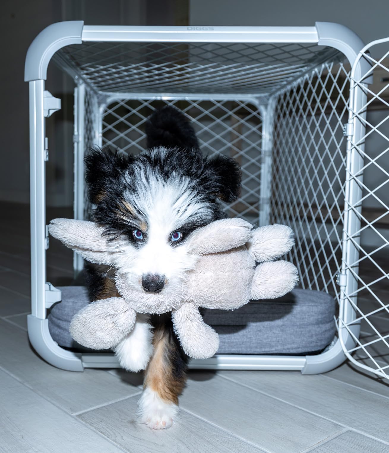DIGGS Evolv Dog Crate - Slim, Durable Dog Kennel with Removable Ceiling Panel and Modular Design - Safe, Stylish, and Convenient (Ash, Small) customer photo 1