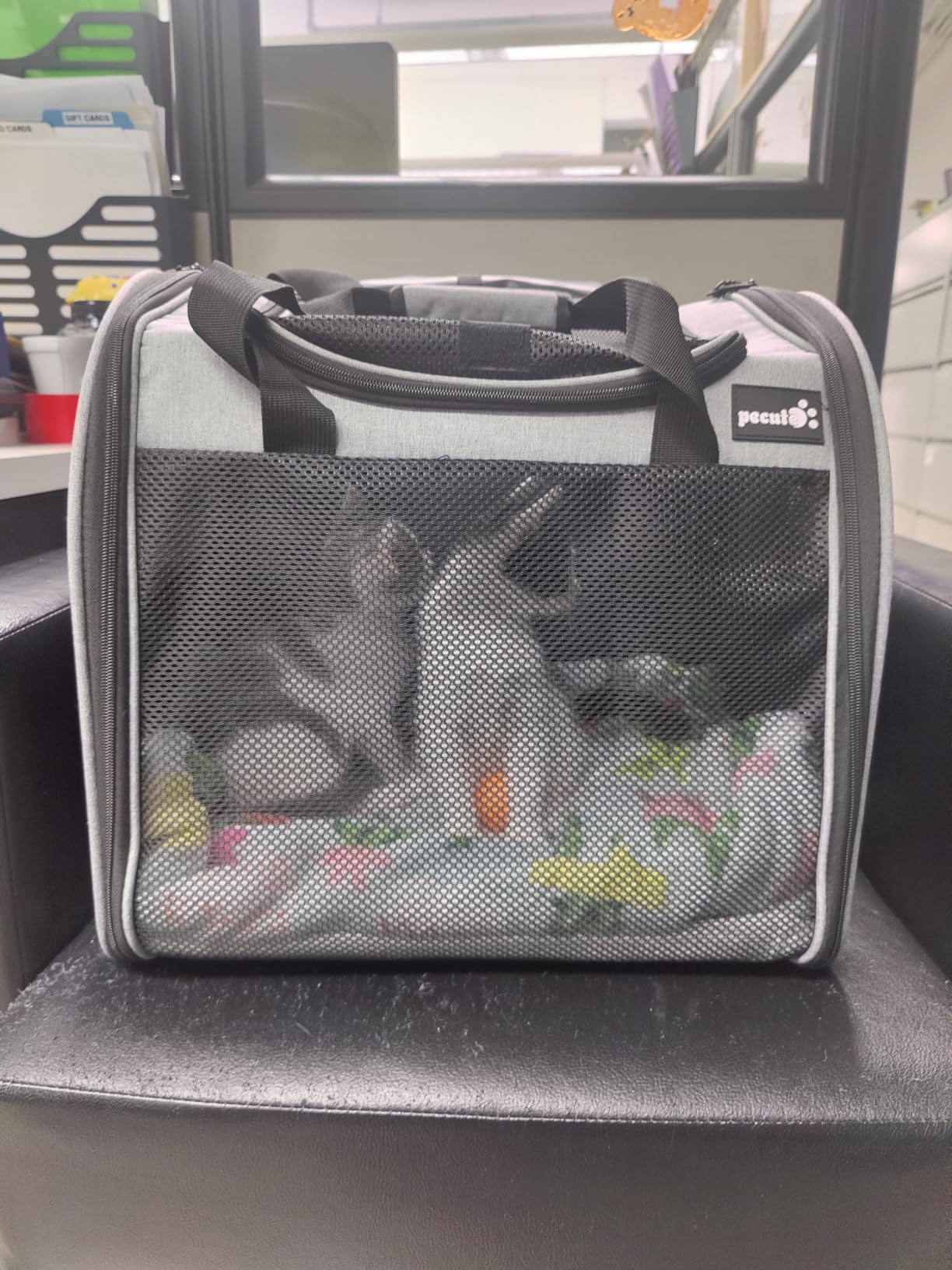 Pecute Cat Backpack with Widened Interior Space, Upgraded Dog Backpack Carrier customer photo 2