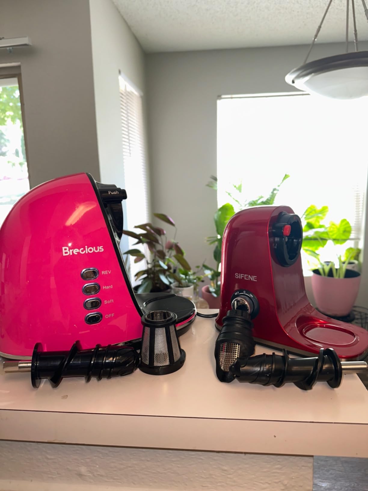 Slow Masticating Juicer, Brecious Cold Press Juicers with 2 Speed Modes & Quiet Motor, Juicers Machines Vegetable and Fruit with Reverse Function, Celery Juicer, BPA-Free, Easy to Clean (Red) customer photo 1