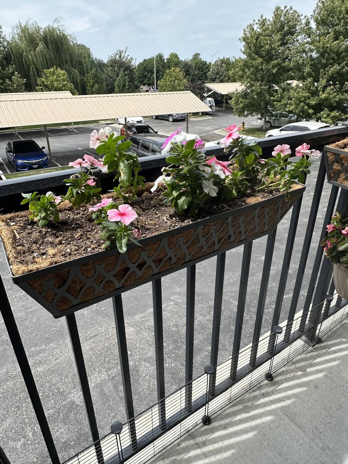 4 Pack 24 Inch Window Boxes Planters for Outdoor Plants Railing Planter Box with Adjustable Brackets customer photo 2