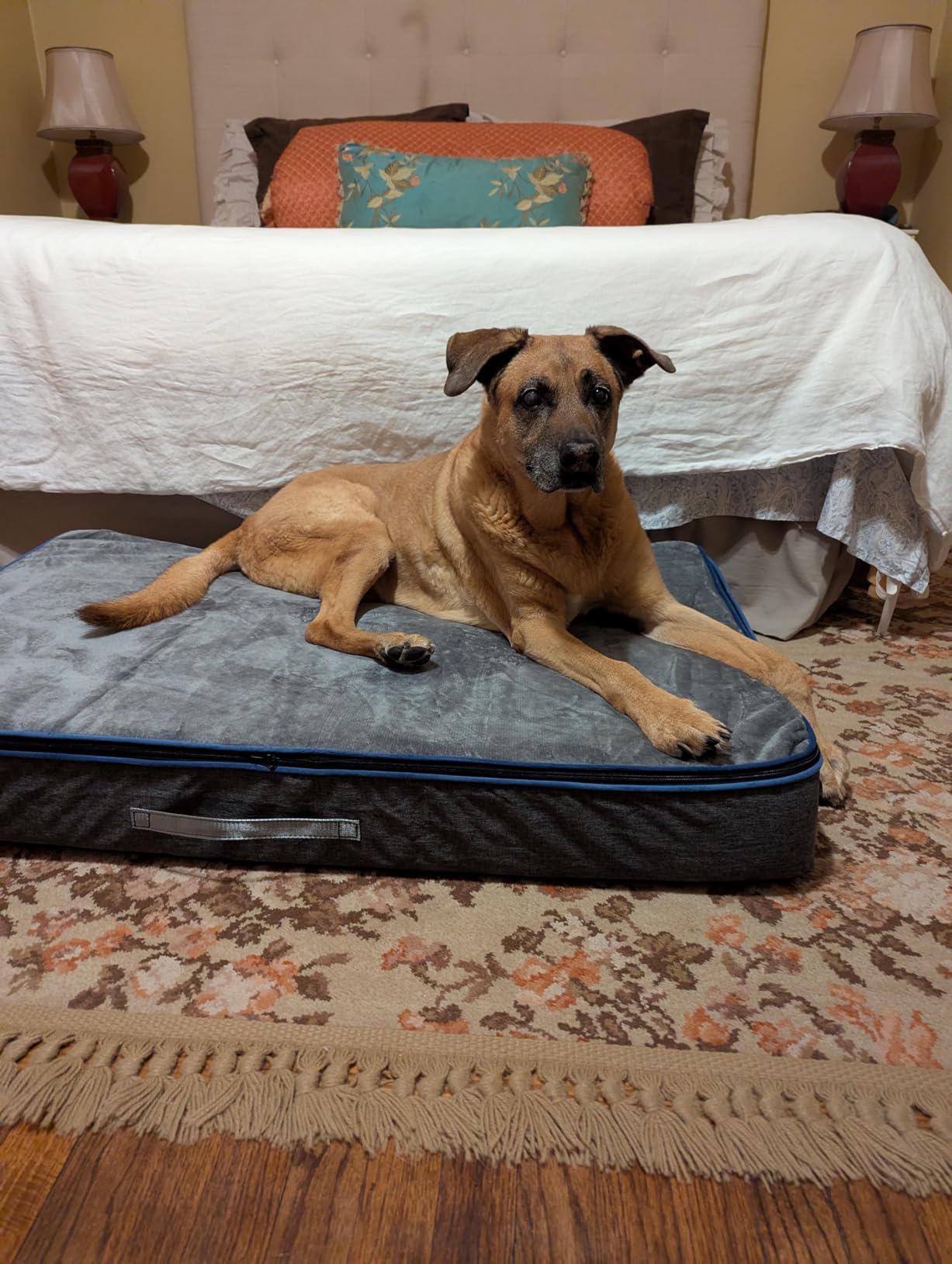 LIORCE Orthopedic Memory Foam XXL Dog Bed - 6