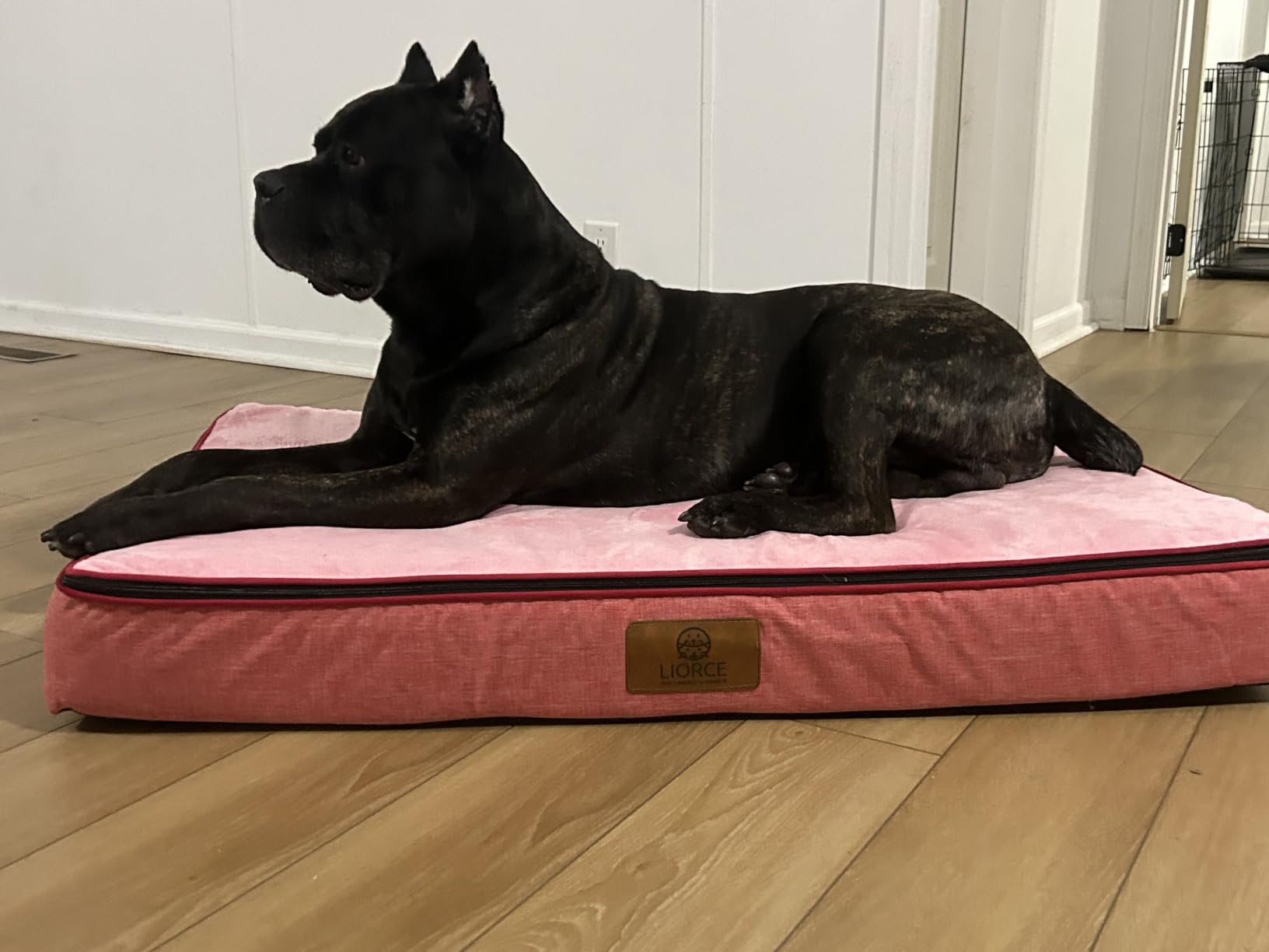LIORCE Orthopedic Memory Foam XXL Dog Bed - 6