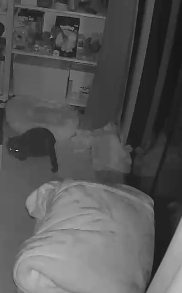Petcube Bites 2 Lite Pet Camera [Subscription Required] - Treat Dispenser | 1080p HD video, 2-way audio, night vision customer photo 2