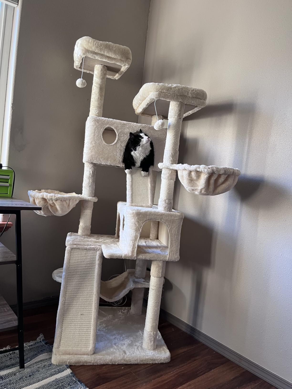 SHA CERLIN 65in Larger Cat Tree Tower Condo for Indoor Kitties/Multi-Level Furniture Activity Center with Wide Base/Cozy Plush Cat Perches/Baskets/Sisal Scratching Posts and Hammock/Beige customer photo 1