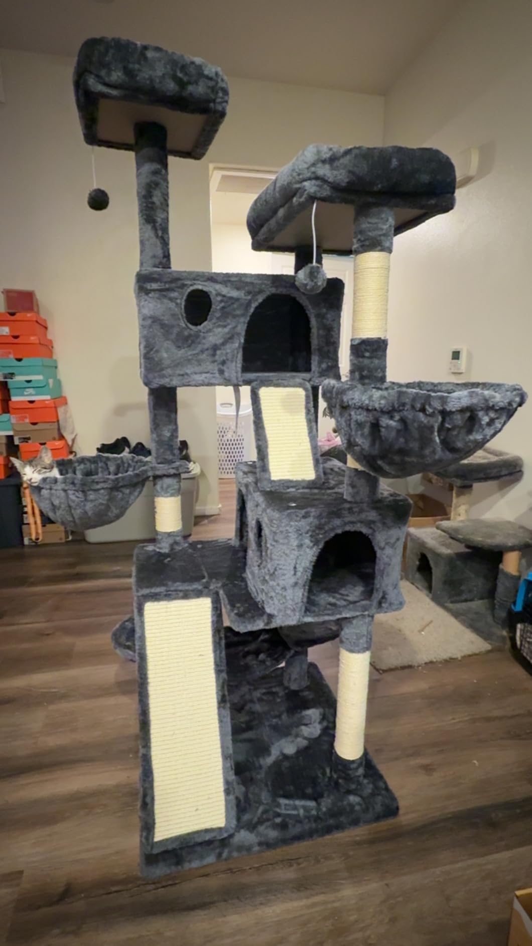 SHA CERLIN 65in Larger Cat Tree Tower Condo for Indoor Kitties/Multi-Level Furniture Activity Center with Wide Base/Cozy Plush Cat Perches/Baskets/Sisal Scratching Posts and Hammock/Beige customer photo 2