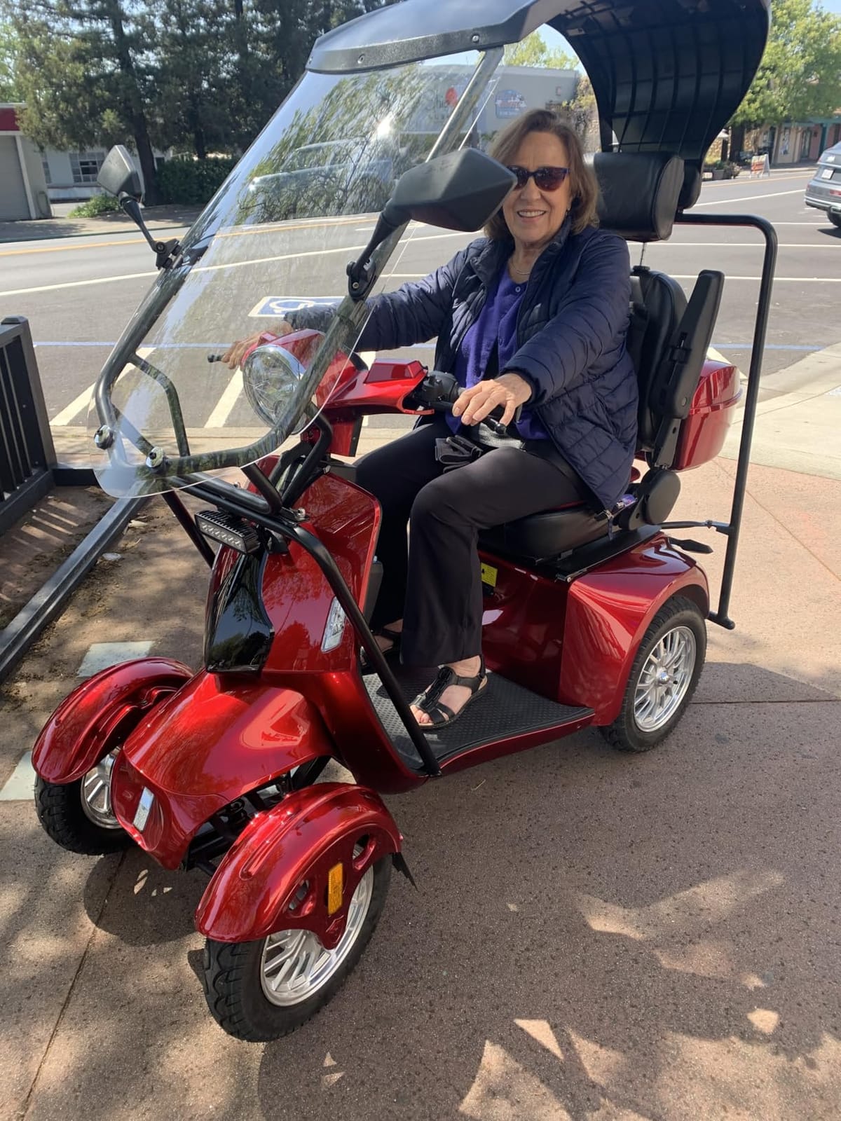 Heavy Duty Mobility Scooter with Roof & Windshield - Electric Powered Wheelchair for Seniors & Adults 500lbs Capacity - 800W Fast Mobility Chair with Long Range Battery Remote Keys customer photo 1