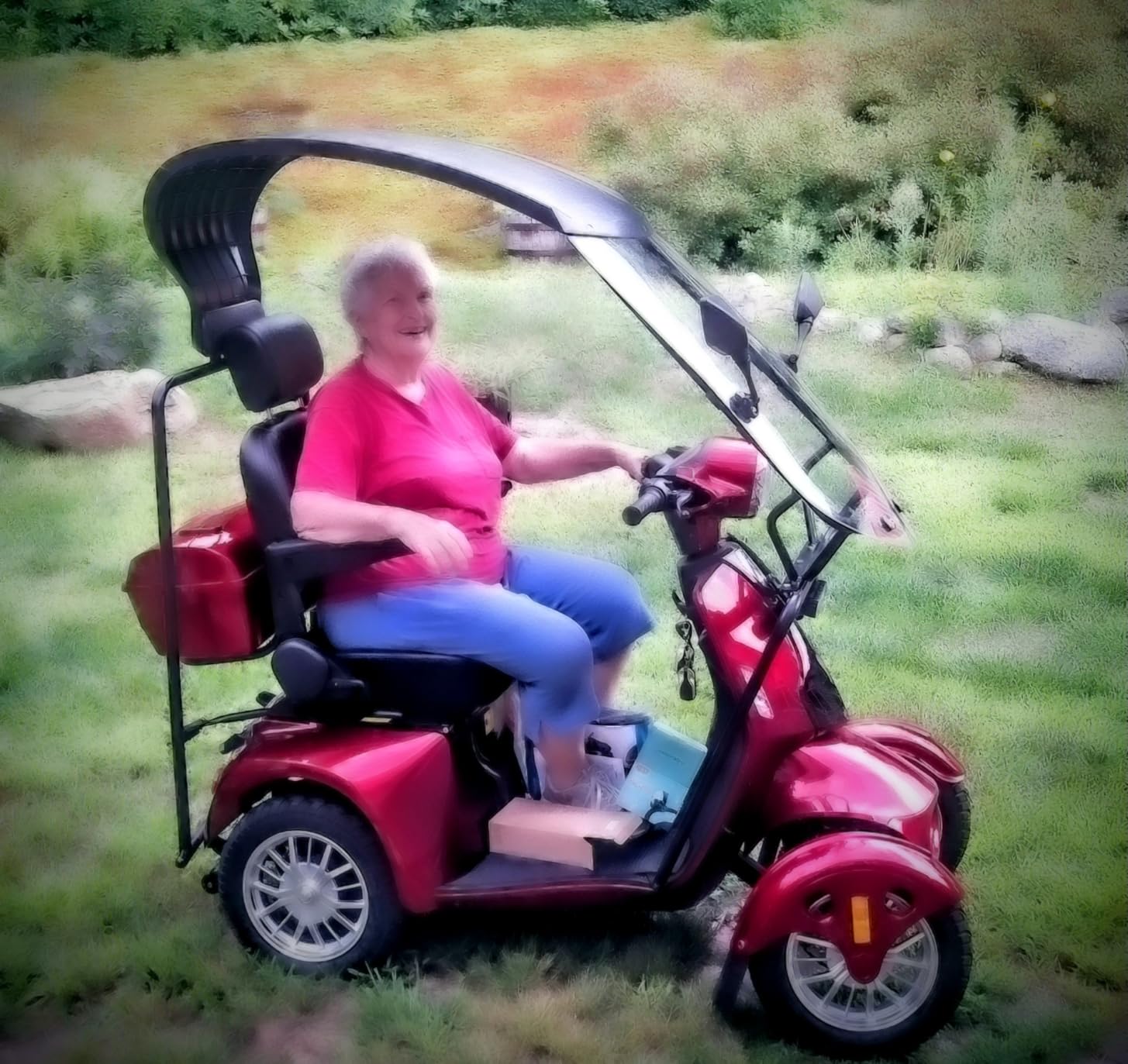 Heavy Duty Mobility Scooter with Roof & Windshield - Electric Powered Wheelchair for Seniors & Adults 500lbs Capacity - 800W Fast Mobility Chair with Long Range Battery Remote Keys customer photo 2