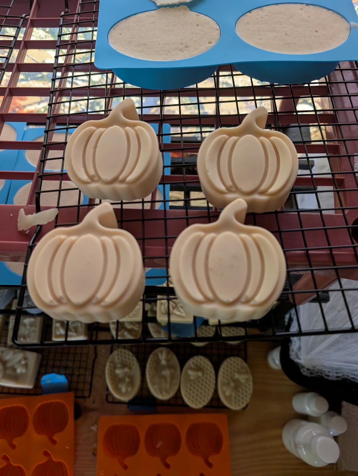 HKNMTT Round Silicone Molds 2 PCS, 12-Cavity 2.1