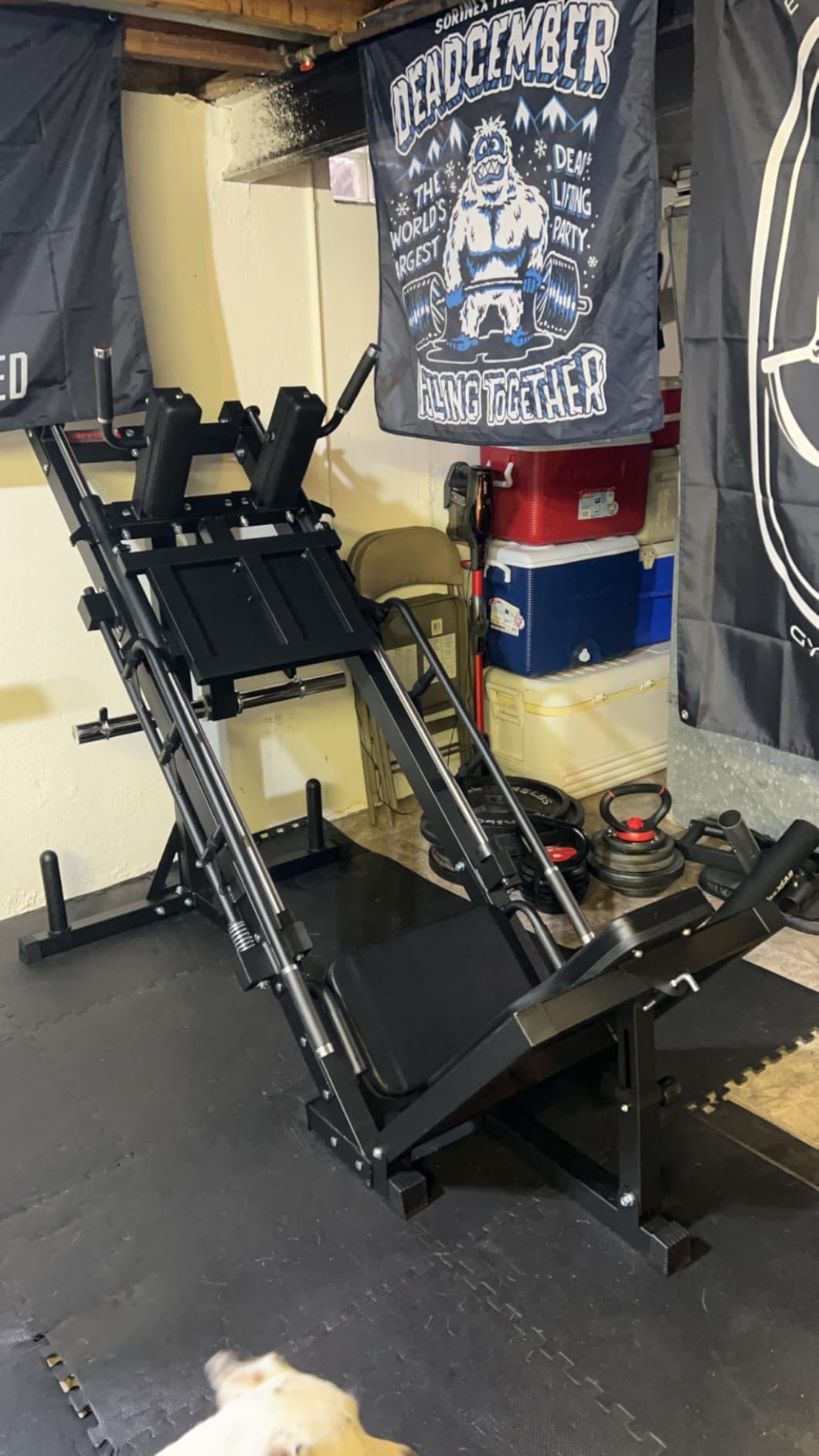 RitFit Leg Press Hack Squat Machine with Linear Bearing, 1200LB Capacity | Alloy Steel Frame with 5+3 Adjustable Angles, Diamond Footplate, Weight Storage and 1200LB Capacity for Home Gym customer photo 2