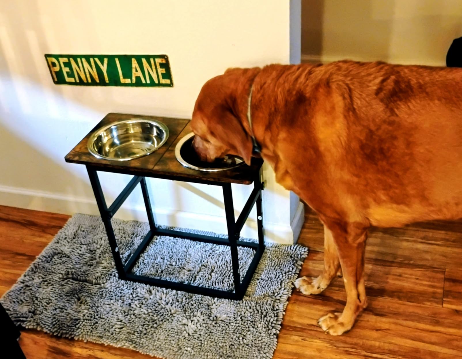 Zarler Elevated Dog Bowls for X-Large and Large Breed, 5 Adjustable Heights from 8.2'' - 17.3'', 2 Stainless Steel Bowls customer photo 2