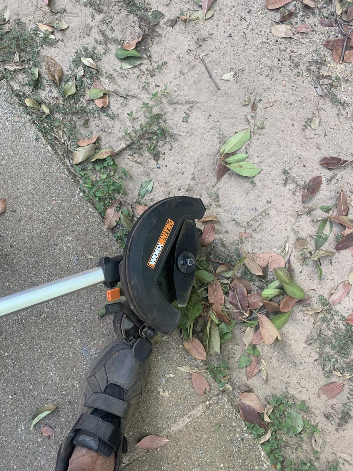 WORX Cordless Lawn Edger, 20V 7