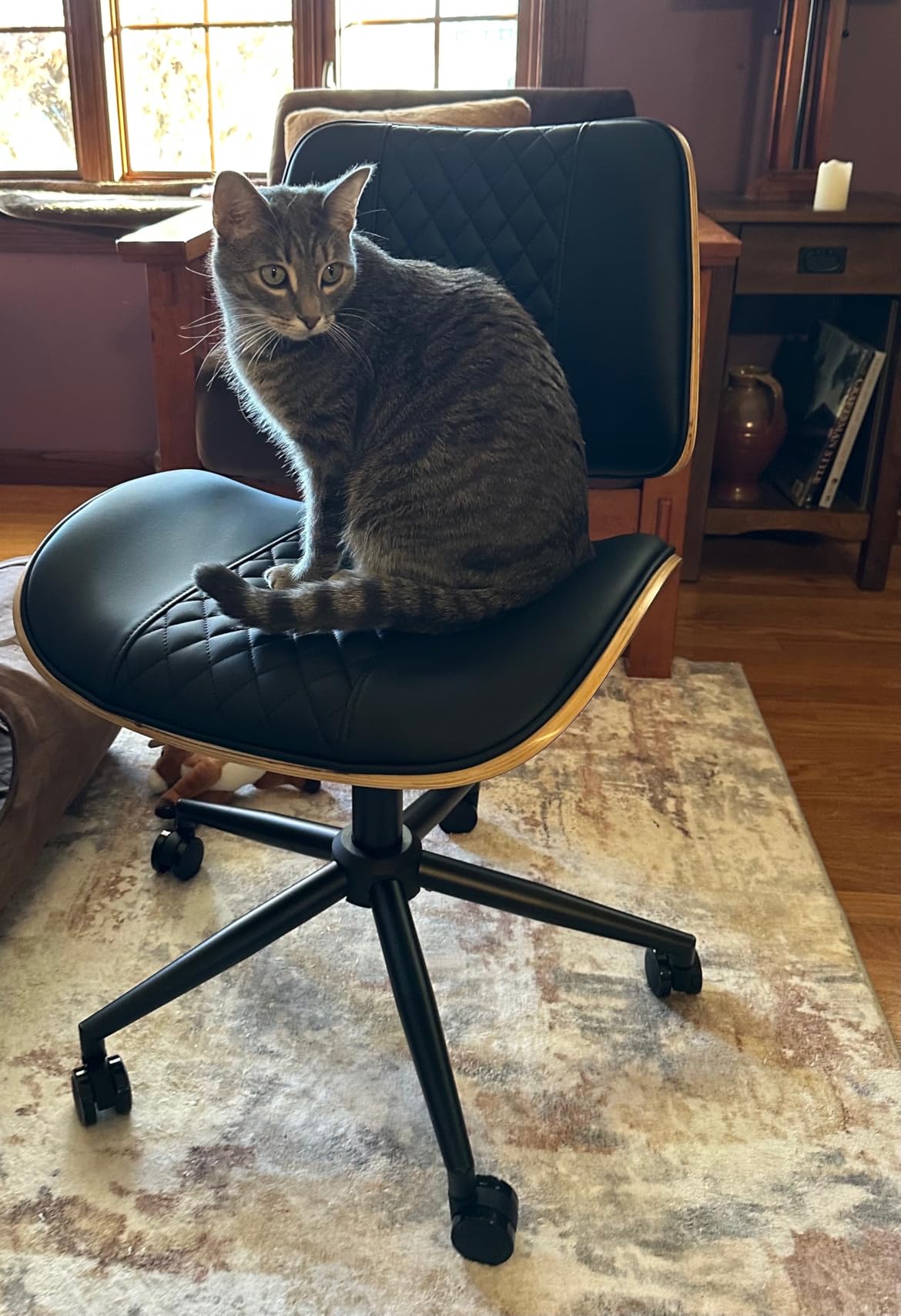 Home Office Chair No Arms with Wheels, Adjustable Height Small Desk Chair, PU Leather Mid Back 360 Swivel Computer Chair, Armless Modern Walnut Chair for Office, Reading Meeting Room (Beige) customer photo 1