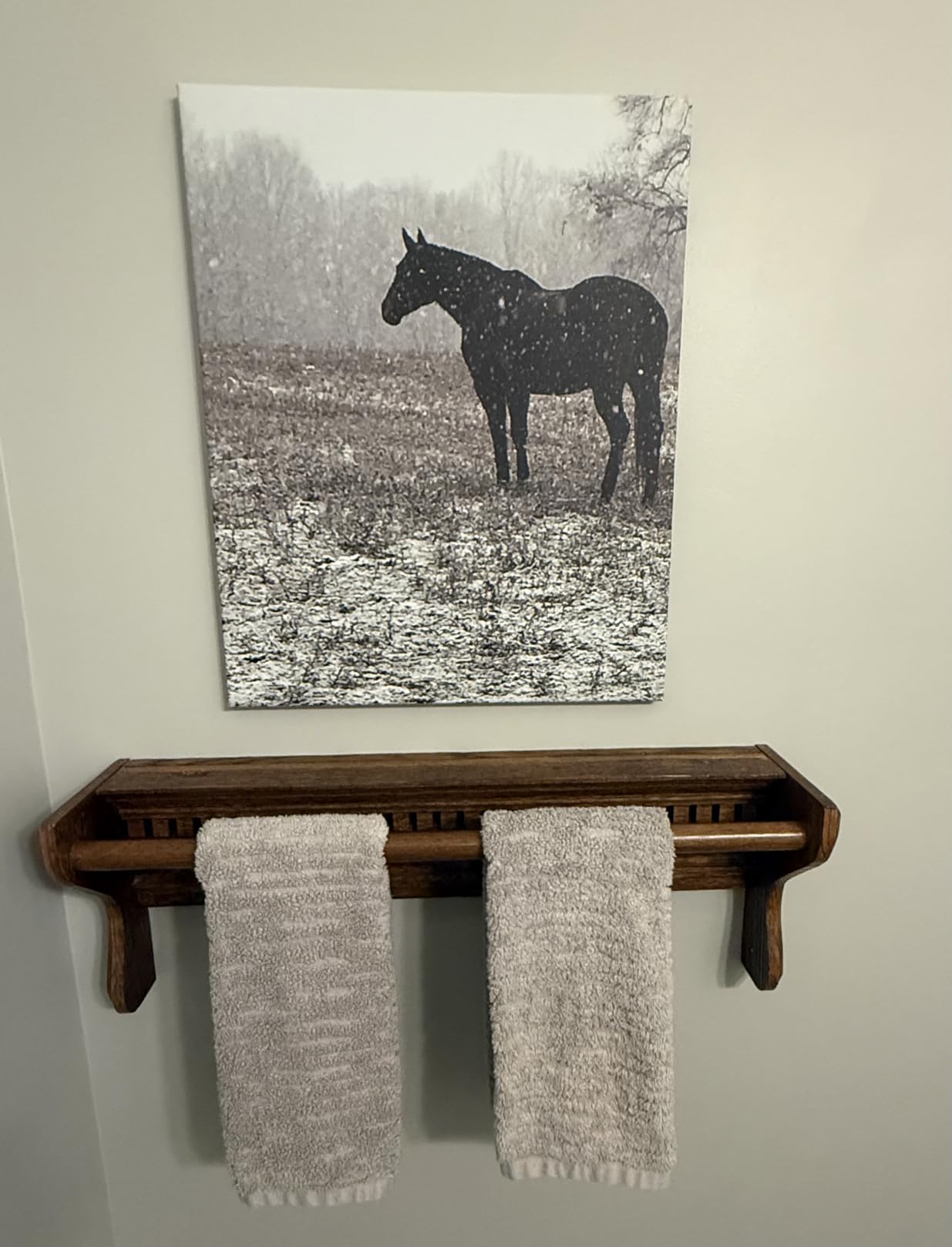 SKL Home CloudSoft Hand Towel Set, 2-Piece, 100% Cotton Luxury, Oatmeal customer photo 1