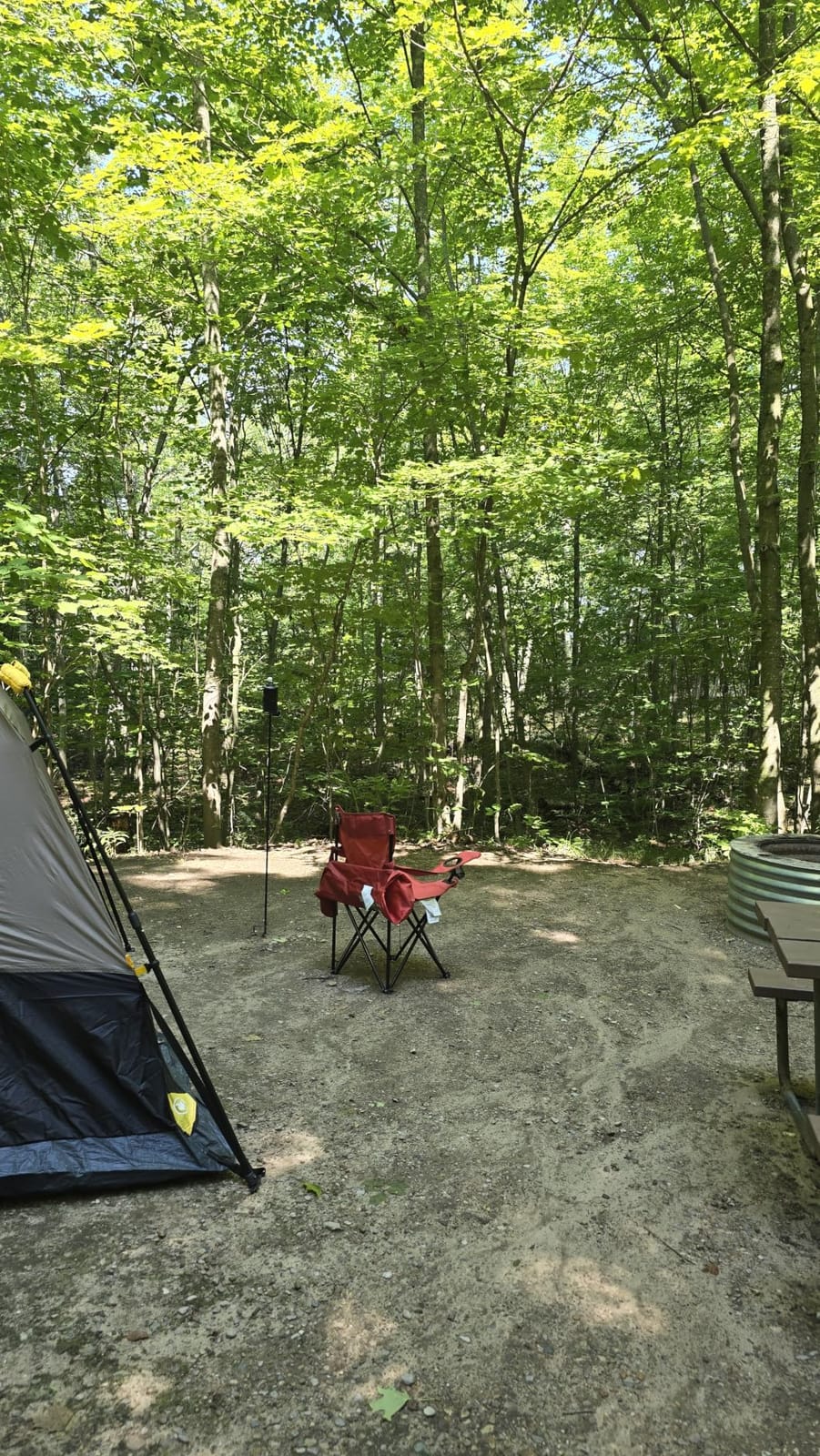 FanttikOutdoor 4/6/8/10 Person Instant Tent for Camping Setup in 60s | Camping Tent with Rainfly & Windproof, Portable Instant Cabin Tent with Carry Bag for Family Camping & Hiking customer photo 1