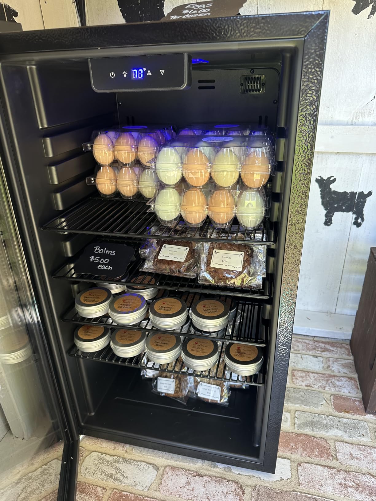 Feelfunn 126 Can Beverage Refrigerator, Glass Door Mini Fridge, 3.2 Cu.Ft customer photo 2