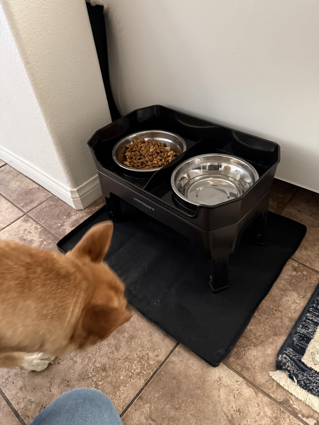URPOWER Elevated Dog Bowls, 3-in-1 Double Deck Raised Dog Bowl Stand | 4 Height Adjustable Raised Stand with 2 Stainless Steel Food Bowls & Licking Plate customer photo 1