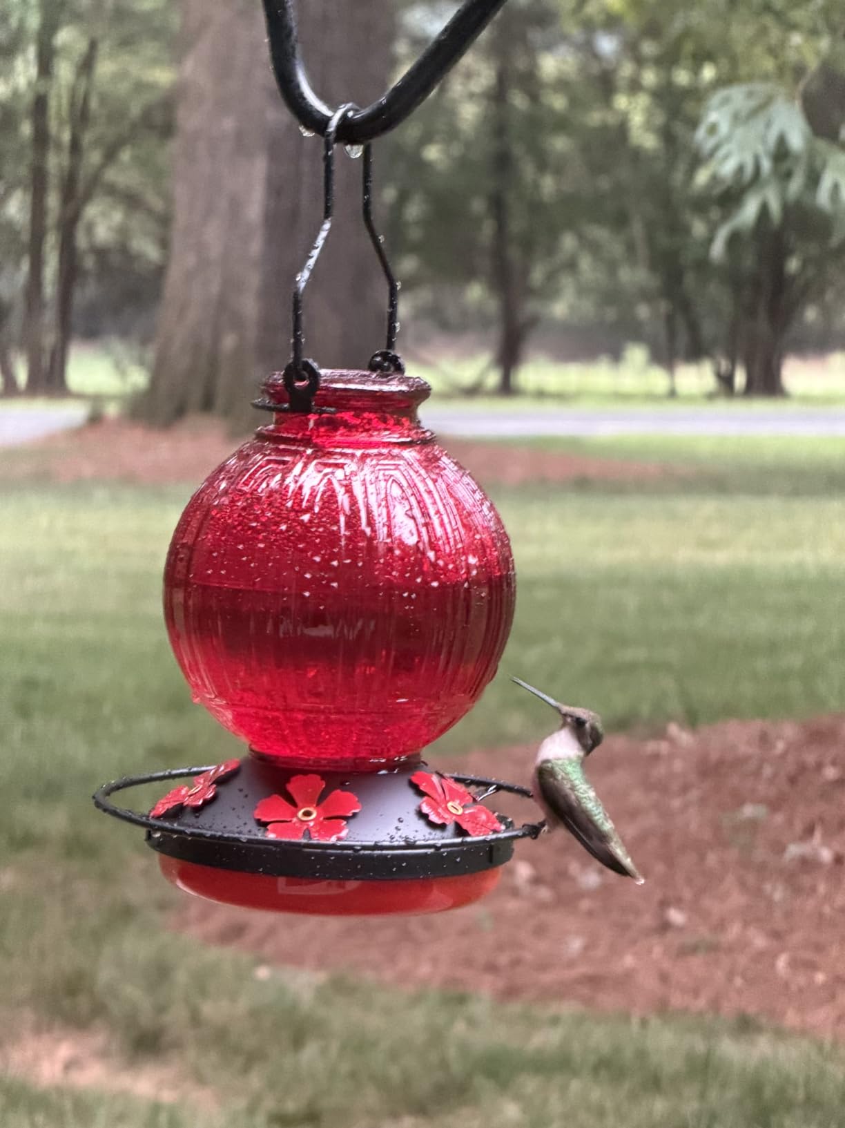 Glass Hummingbird Feeder for Outdoors Hanging, 26 fl oz Bird Nectar Feeder | 5 Metal Flower Feeding Ports, 360° Perch Ring, Easy Refill & Clean, Leakproof, Ideal for Backyard, Garden Outdoor Decor, Red customer photo 1