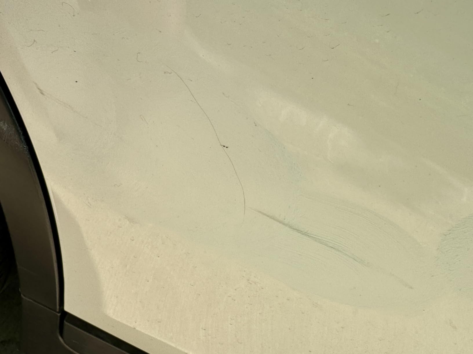 Chemical Guys, C4 & P4 Compound & Polish Paint Correction Kit, 2 x 16 oz | Cut scratches, swirls and towel marks with C4, then refine depth and gloss with P4, safe on clear coat paint customer photo 2