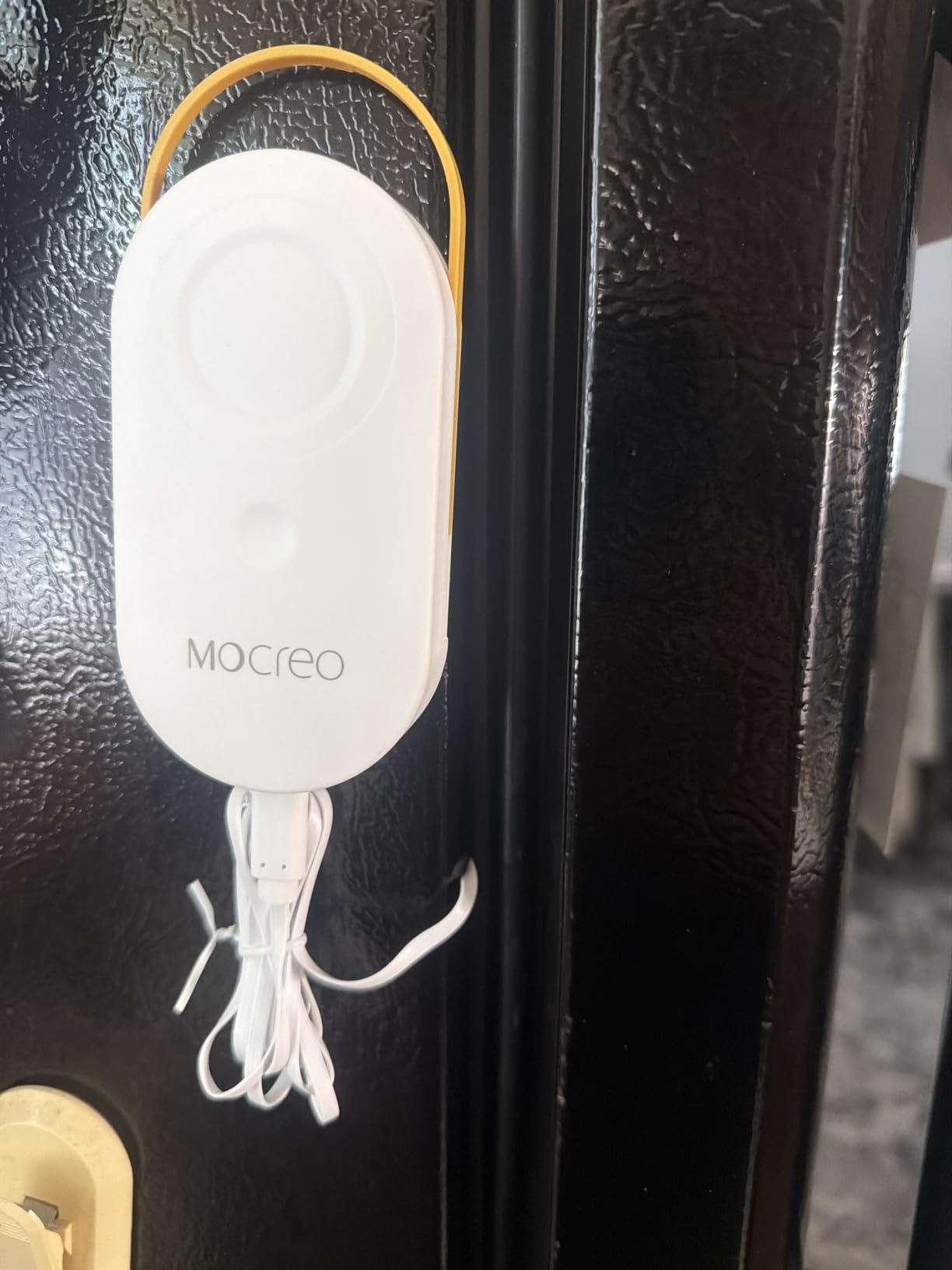 MOCREO WiFi Freezer Thermometer Alarm with Digital Monitor Hub, App and Email Alerts, 2-Year Data Export, No Subscription Fee, 2 Remote Temperature Sensors customer photo 2