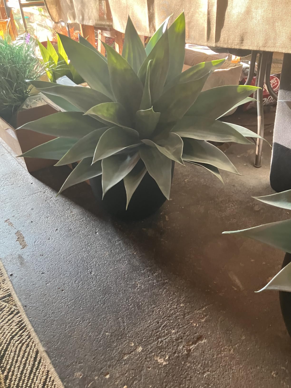 Velener 28 Inch Artificial Agave Plants Outdoor Set, Large Fake Plants Indoor for Home Decor, Realistic UV Resistant Faux Succulents Plants Without Pot, Set of 2 customer photo 1