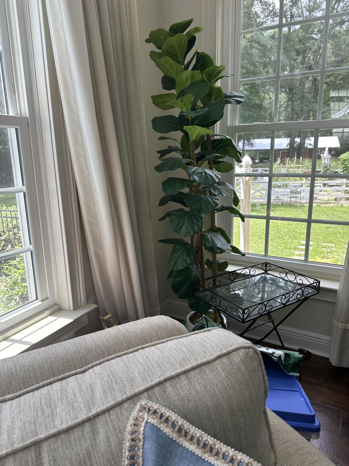 Artificial Fiddle Leaf Fig Tree with White Planter, 5ft Tall Fake Tree with Natural Wood Trunk for Home Decor, Faux Ficus Tree Fake Moss for Indoor Office Living Room customer photo 1